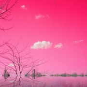 2008-02-09_02-45-01_0017_resize_card