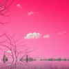 2008-02-09_02-45-01_0017_resize_thumb