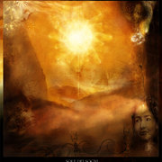 Sole_card