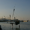 Imgp3923_thumb