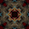 Dood09feb1_thumb