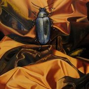 Meg_dwyer_insect_on_gold_art_card