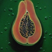 Meg_dwyer_art_papaya_card