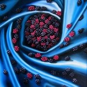 Meg_dwyer_berries_art_card
