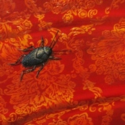 Meg_dwyer_beetle_on_red_art_card