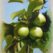 Verdes_by_renato54_card
