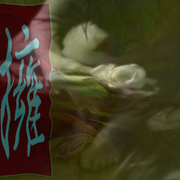 Embrace_card