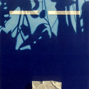 Sombras-100x50_card