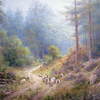 West_wood__harbottle_thumb