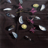 Shells_18x18_thumb