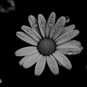 Dsc_1152_card