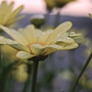 Dsc_1153_card