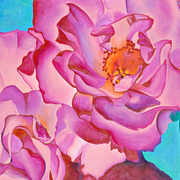 Wow_2_card