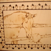 Dscn0741_card