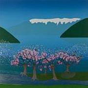 Blossom-in-the-hardanger-fjord-jarle-rosseland_card