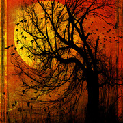 October_moon_card