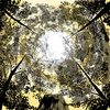 The_orb_of_summer_lr_thumb