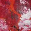 Poppies_1_thumb