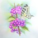 Butterfly_and_berries_002_square