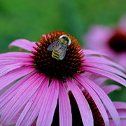 Img_6445ab_card