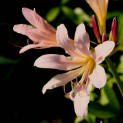 _mg_6479ab_card
