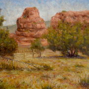 P7230002_card