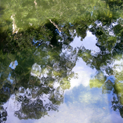 River_reflections_2_card