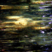 River_reflections_5_card