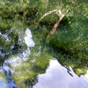 River_reflections_4_card