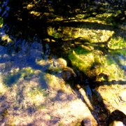 River_reflections_6_card