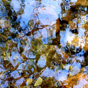 River_rocks_reflections_2_card