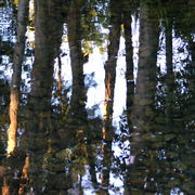 River_rocks_reflections_9_card