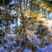 River_rocks_reflections_11_card