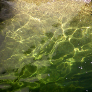 River_rocks_sunlight_4_card