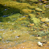 Running_river_rocks_reflections_thumb