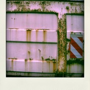 Img_0888_1-pola_card