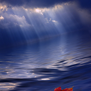 Adrift_card