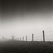 Windmill-fence_square