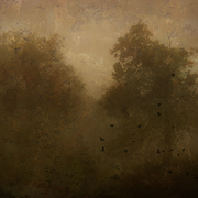 Evening_song_card