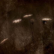 Dark_seasons_card