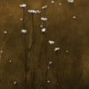 Winter_dreaming_thumb