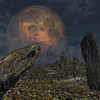 Viper_rock_thumb