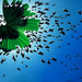 13__180x200cm-2005_square