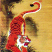 X31_card