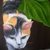 Paintings_012_tiny_square