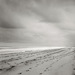 Convergence_square