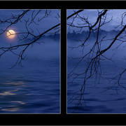 Moonlight_on_the_elk_card
