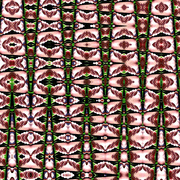 Bp34_card