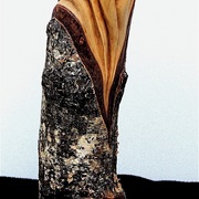 Big_toe__side-view__card