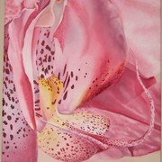 Img_1676_card